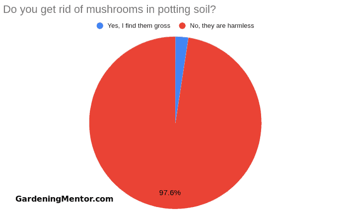 6 Super Tips To Get Rid Of Mushrooms In Planter Box (Mushroom Experts Comment)