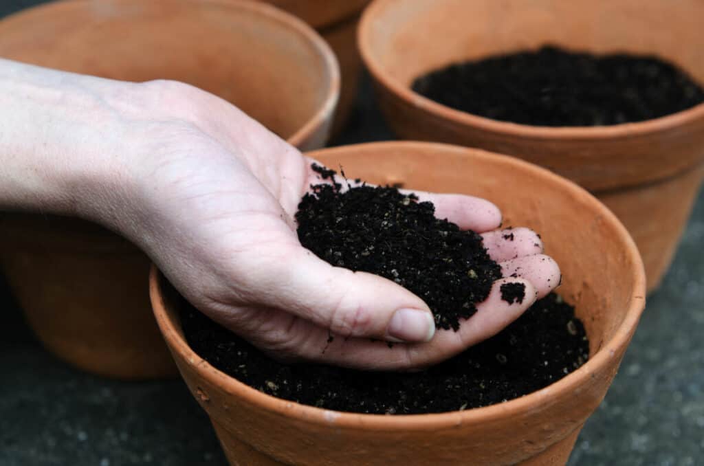 best potting soil for vegetables in pots