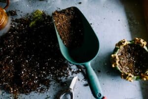 Lazy Gardener’s Recipe for Homemade Potting Soil