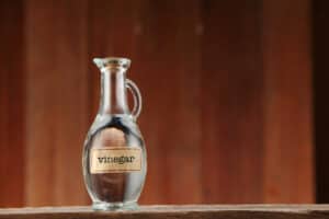 How To Make Vinegar Spray For Plants