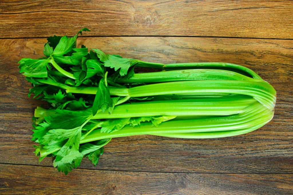 grow celery in a pot
