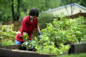 Choosing The Right Landscaper For Your Unique Garden Needs