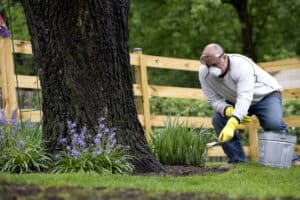 7 Career Options for People Who Love Gardening