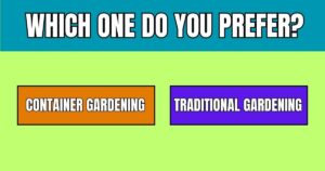 10 Reasons Why Container Gardening Is Better Than Traditional Gardening