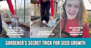 Gardener’s Secret: How Warm Water Boosts Seed Growth